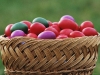 basket